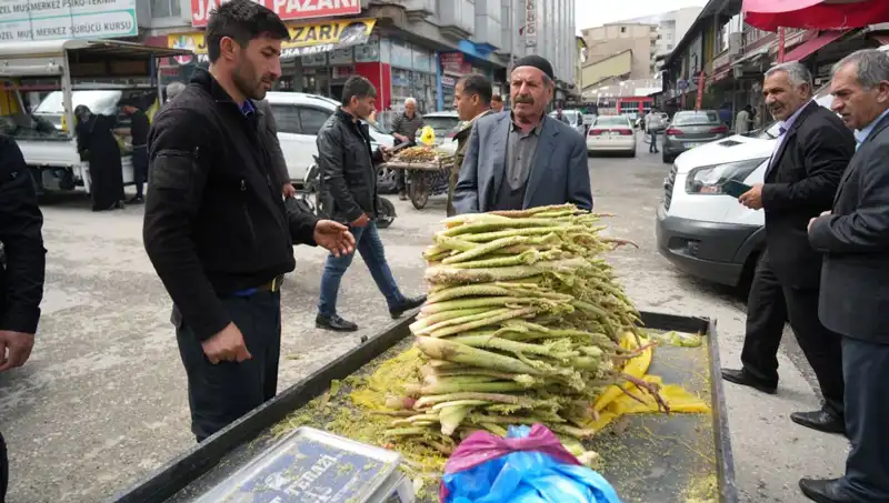 Dağlık Bölgelerin Şekerleri: Kanser ve Mide Hastalıklarına Şifa Olma Potansiyeli