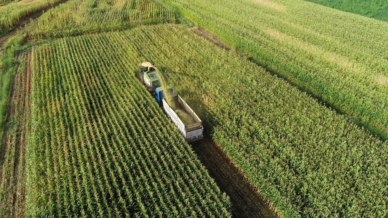 Üreticilere 2,3 Milyar TL Destekleme Ödemesi Yapılacak
