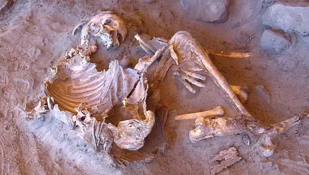 Yeni Mumya Keşfi, İnsanlığın Soy Ağacını Yeniden Yazıyor!