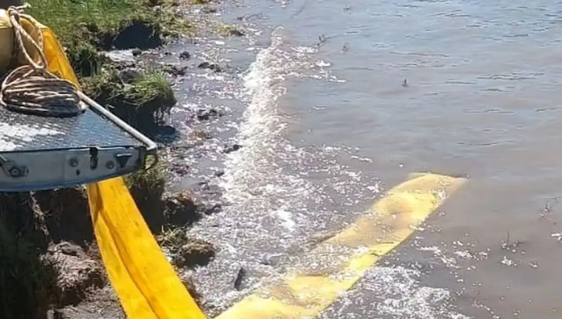 Göletlere bırakılan yavru balıklar doğanın dengesini nasıl etkiliyor?