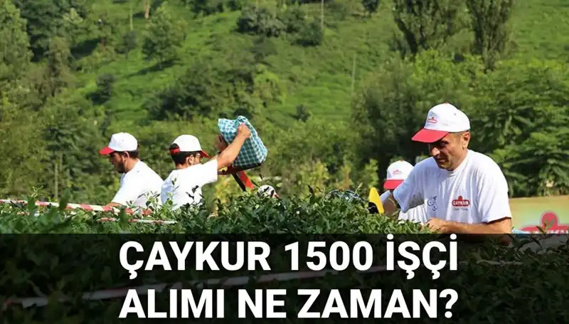 Çaykur İşçi Alımı Başvuru Tarihleri Açıklandı: Fırsatlarınızı Kaçırmayın!