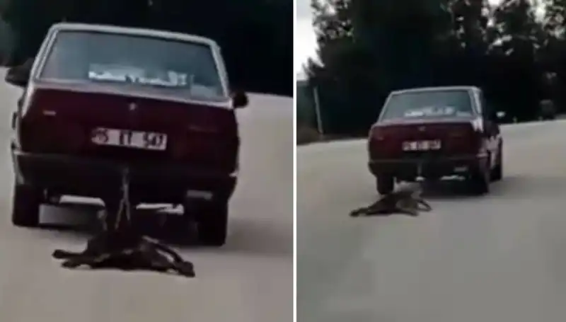 Sokakta Dehşet Anları: Otomobilin Arkasında Sürüklenen Köpek İfşa Edildi