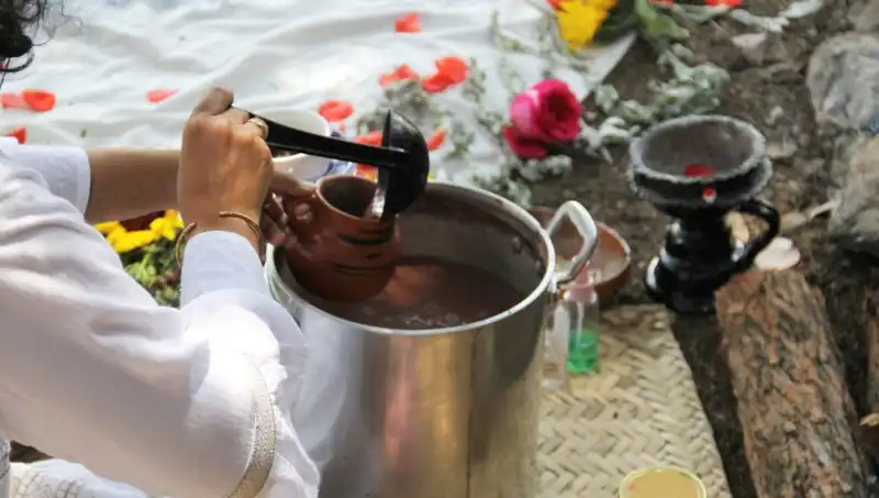 Ayahuasca: Şamanların Sırrı Yeniden Keşfediliyor, Yasak mı?