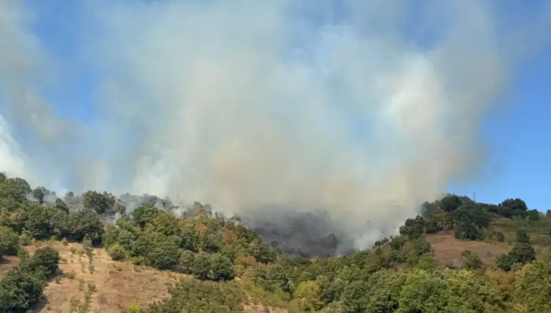 Düzce’deki Orman Yangınına Havadan ve Karadan Mücadele Başlatıldı