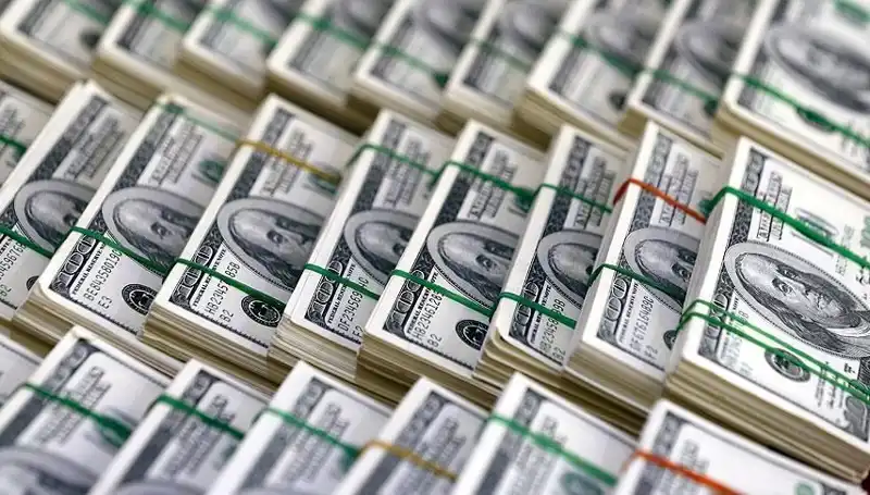Doların Hızla Yükselişi: Ekonomistler Çarpıcı Uyarılarda Bulundu