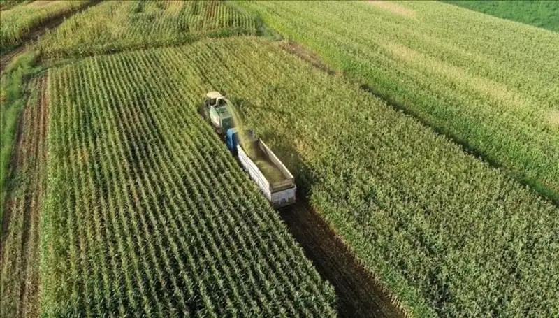 2025 Mart Ayında Mazot ve Gübre Desteği Ödemeleri Hakkında Tüm Detaylar