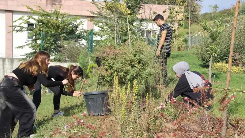 Düzce'den Dünyaya Açılan Kapı: Hayalini Gerçeğe Dönüştüren Proje
