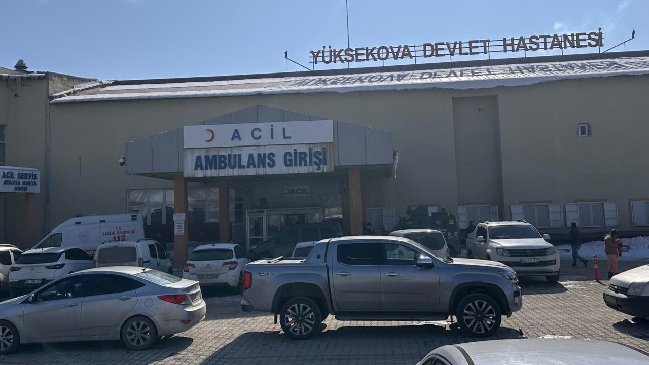 Müfettiş, başıboş köpeklerin saldırısıyla ölen çocuk olayını soruşturacak
