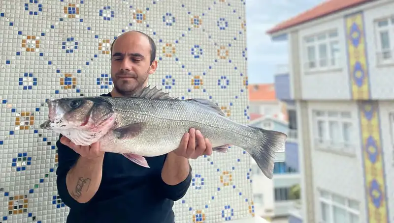 7,5 Kiloluk Dev Levrek: Balıkçıların Yeni Rekoru
