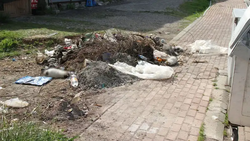 Antalya'da 10 Kedi Ölü Bulundu: Hayvan Hakları Savunucuları Tepkili