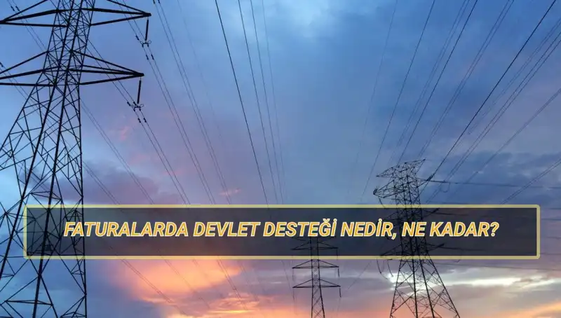 2025'te Devlet Destekli Doğalgaz ve Elektrik Faturaları: Kimler Faydalanabilir?