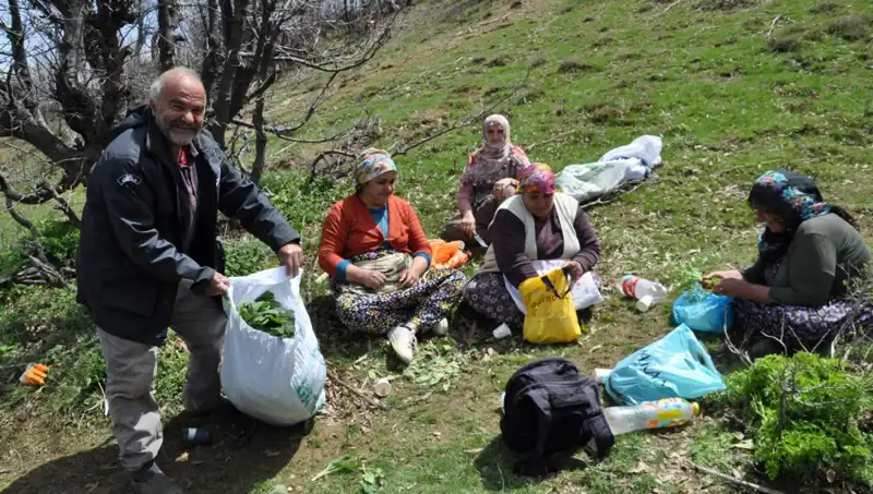 Yürüyerek Elde Ettikleri Gelir: Kilosu 250 Lira Değerinde