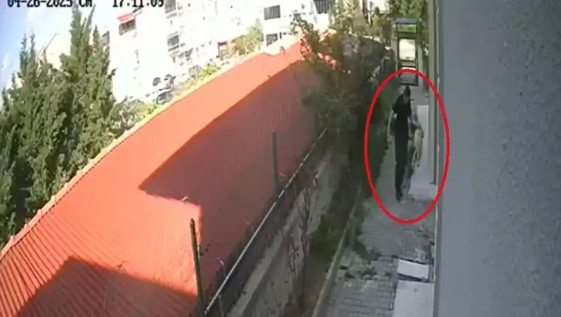 Veteriner Doktor, Sahiplendiği Köpekleri Evde Kesip Öldürdü: Şok Edici Gelişme