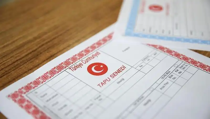 Hisseli Tapu Yalınıyla Kurulan 100 Milyonluk Dolandırıcılık Ağı Ortaya Çıktı!