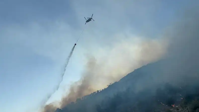 Söke'de Orman Yangını Kontrol Altına Alındı: Yüzlerce Ekip Seferber Oldu