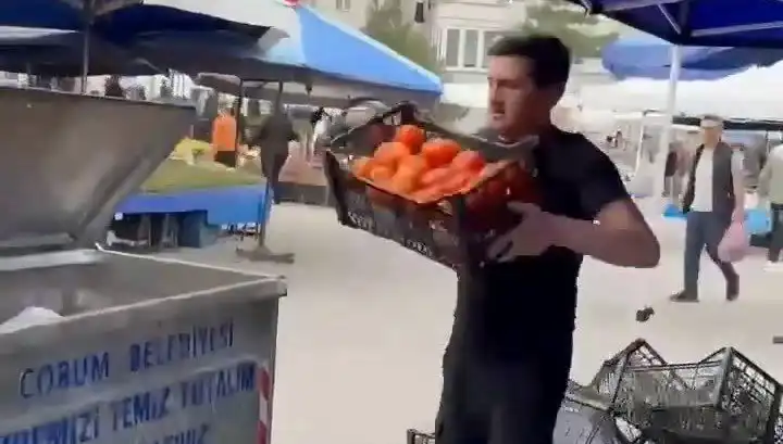 Pazarcı, Çürük Domatesleri Çöpe Atınca Rekor Para Cezasıyla Yüzleşti