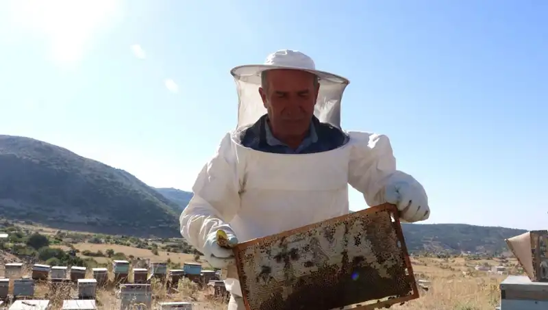 Mobilya İşinden Çiftçilikte Başarıya: 25 Yılda 2 Ton Ürün Üretti