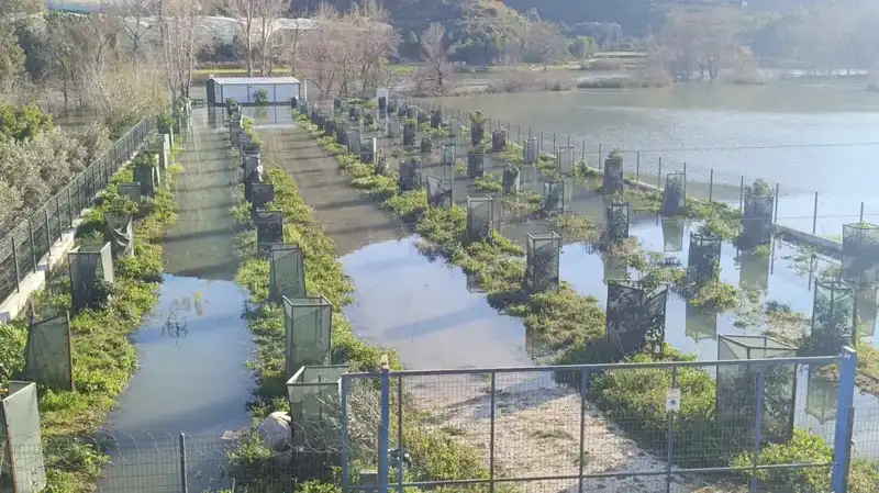 Irmak Taşması Sonucu Otoyol Şantiyesi Sular Altında Kaldı!