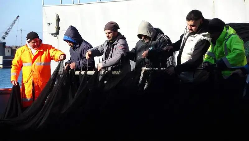 Hamsi Avında Beklenmedik Kriz: Tekneler Erken Veda Etti!