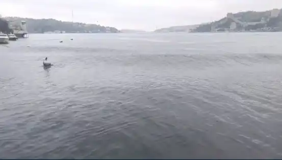 İstanbul'da 6,2 Büyüklüğündeki Deprem Sonrası Deniz Suyunda Şaşırtıcı Dalgalar Yükseldi