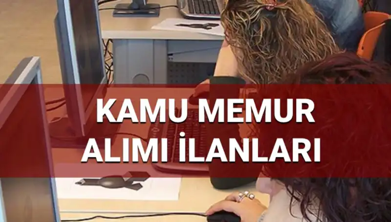 2025 Yılı Kamu Personel Alımları: Hangi Kurumlar, Hangi Branşlar?