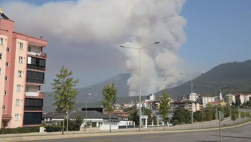 Denizli'de Orman Yangını: Şüpheli Gözaltına Alındı, Yangın Kontrol Altına Alındı!
