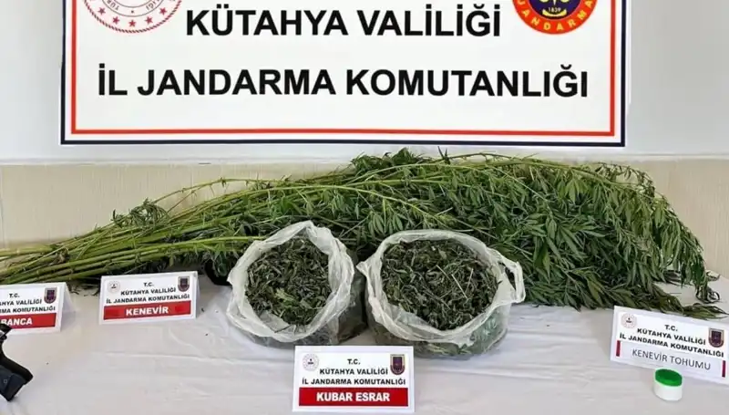 Kütahya'da Uyuşturucu Operasyonu: Şüpheli Yakalandı, Detaylar Ortaya Çıktı